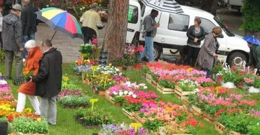 foire livernon