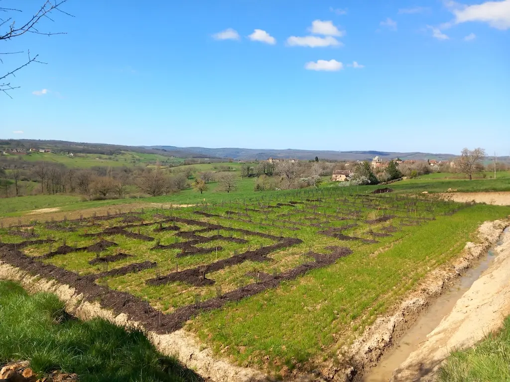 Visite découverte des Jardins labyrinthes mellifériques