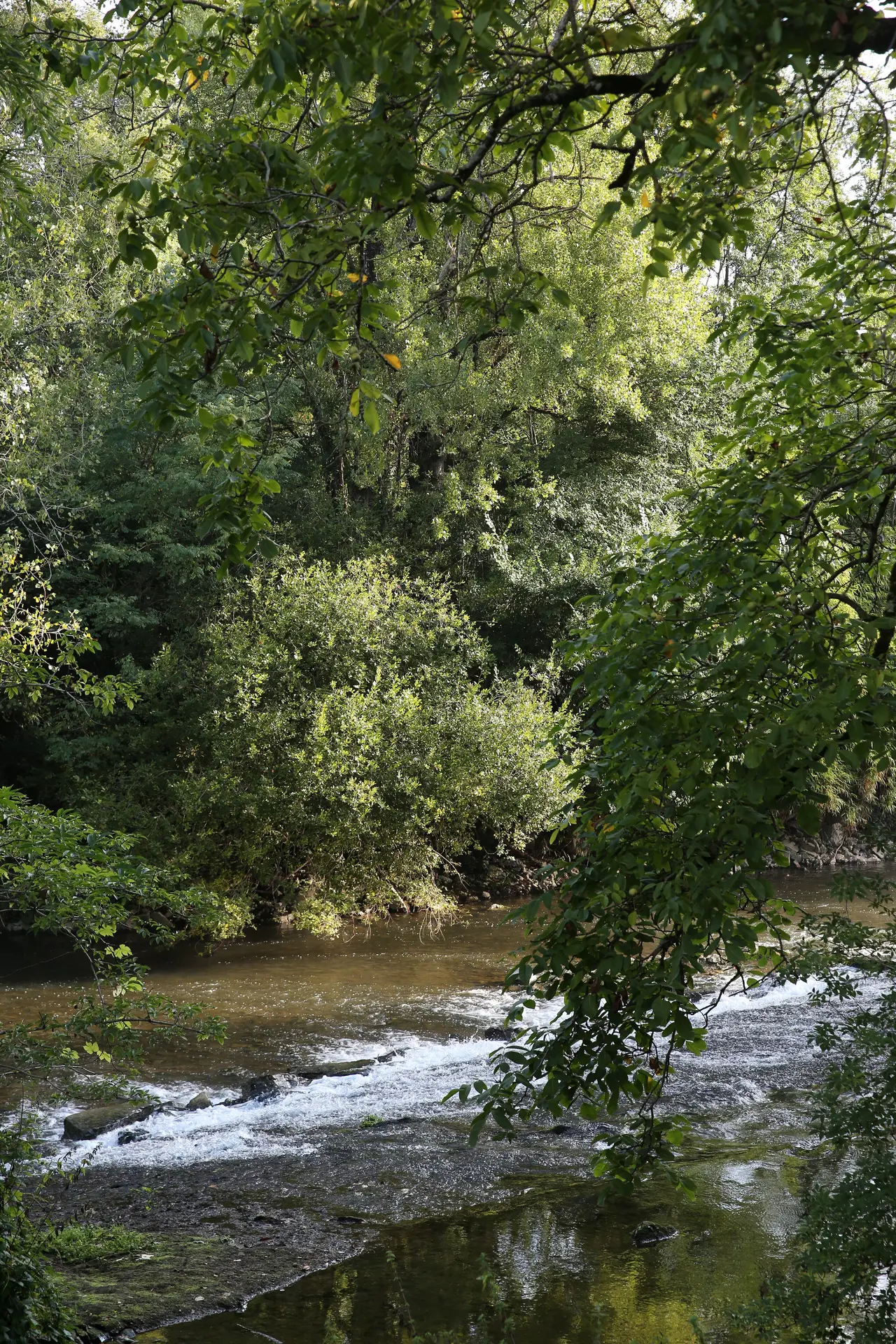 Boussac - Le Célé © Jerôme Morel