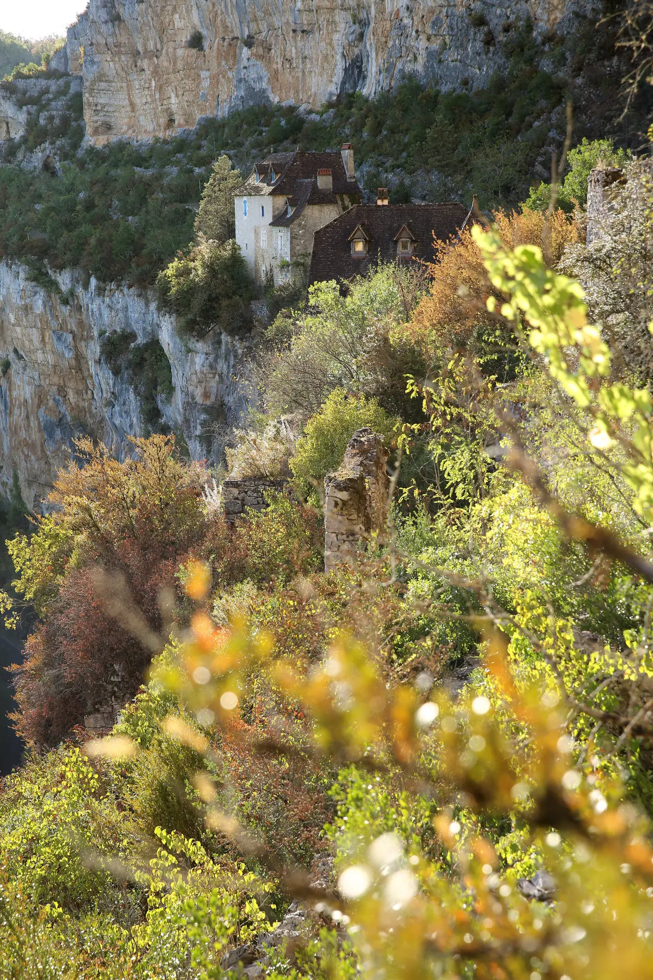 Falaises de Sauliac