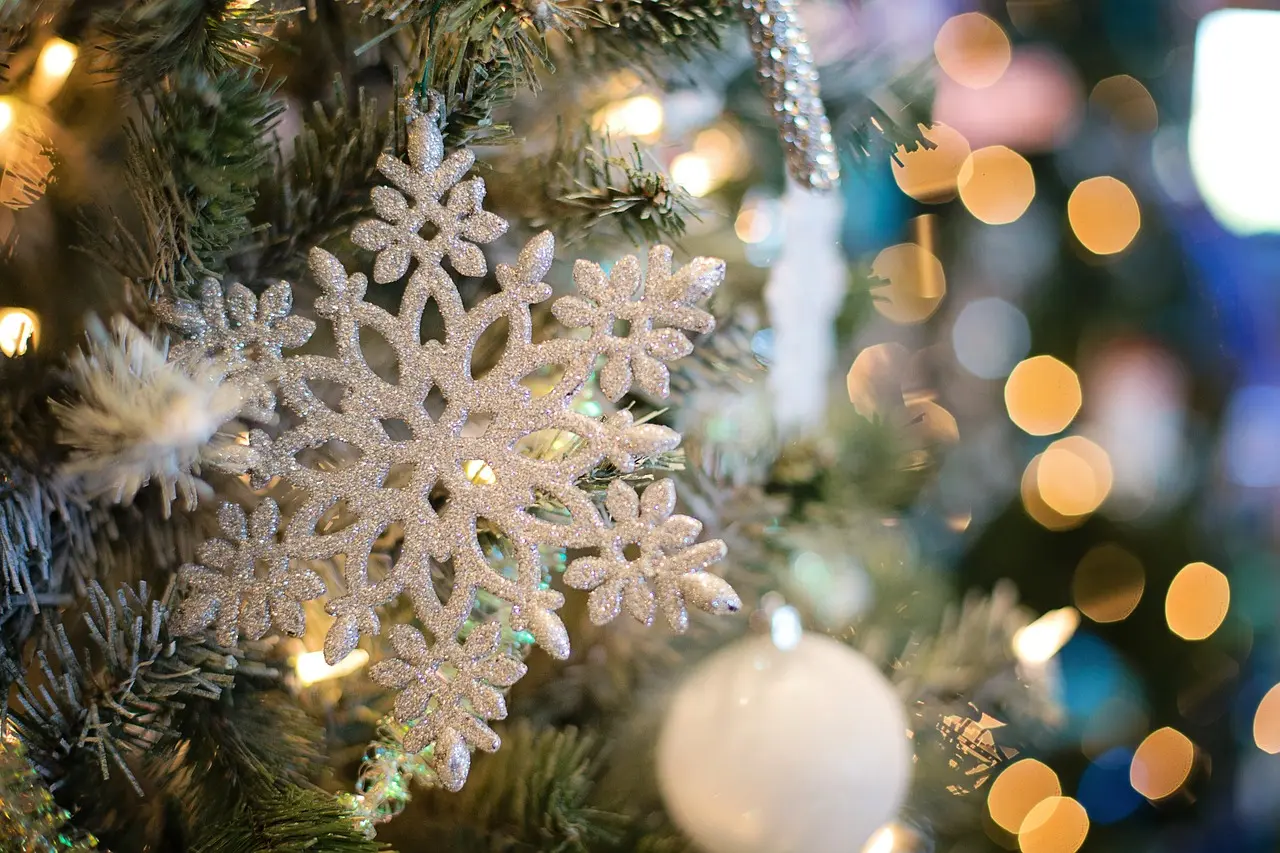 ©JillWellington_Pixabay_snowflake-gf7e8b1ae7_1280