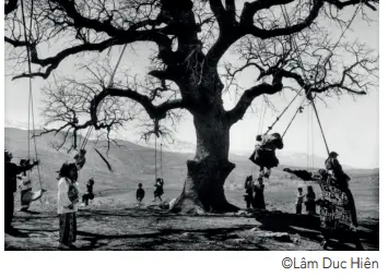 ©Lâm Duc Hiên