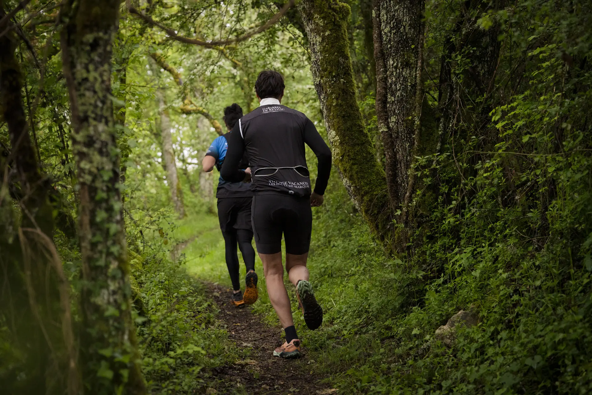 Trail