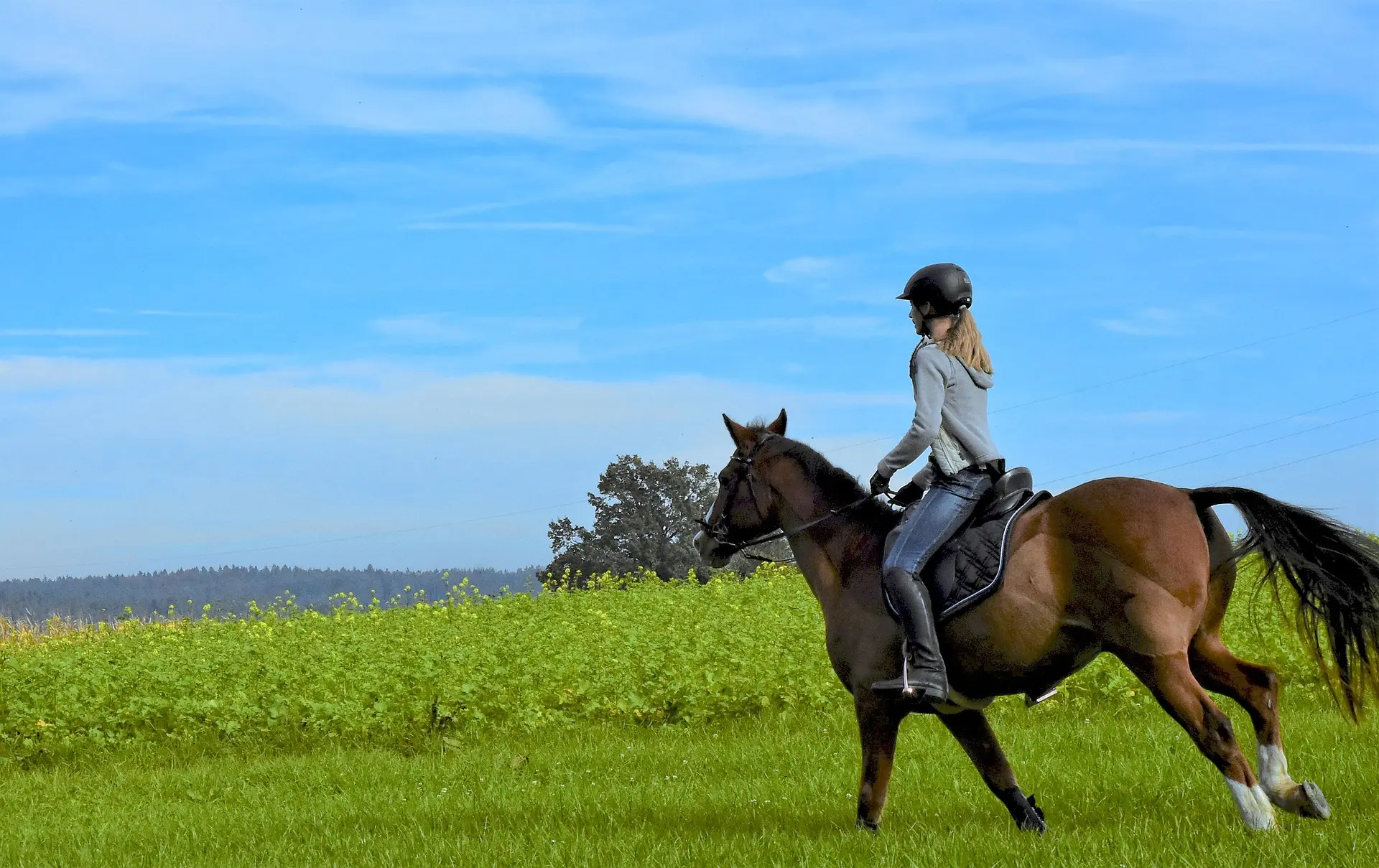 ©RitaE_Pixabay_horse-riding-4564859_1920
