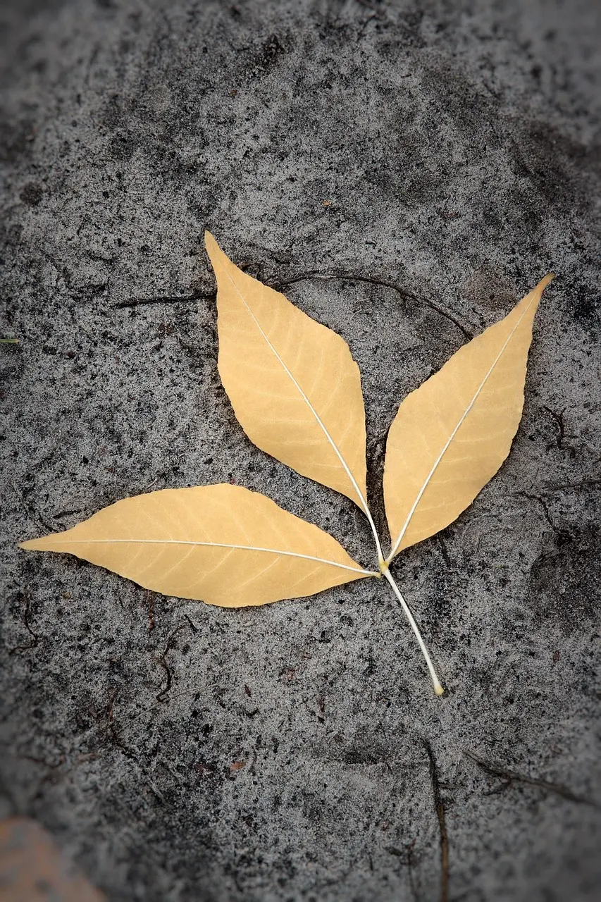 Land Art