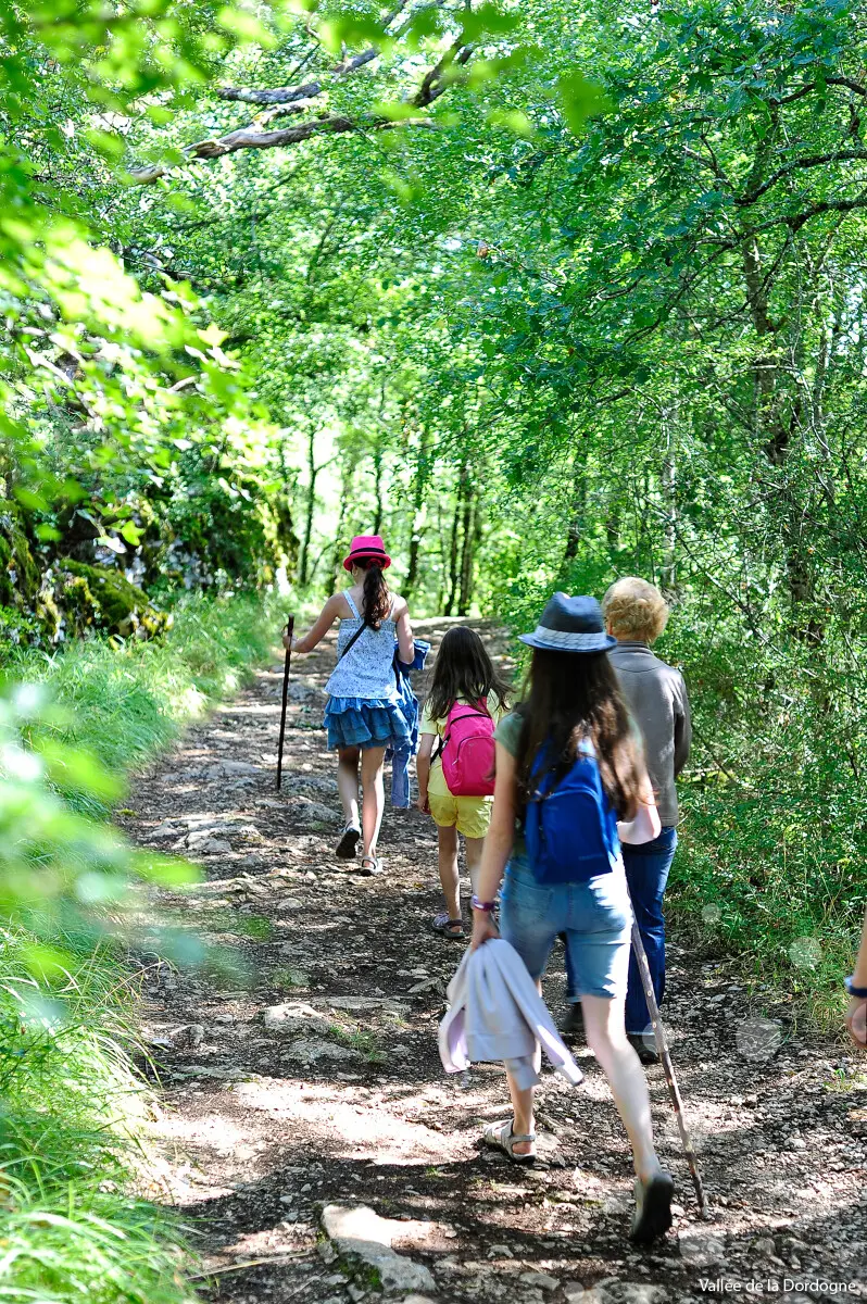 00364-OTVD-CC-BY-NCCochise-Ory---Vallee-de-la-Dordogne.jpg-1200px