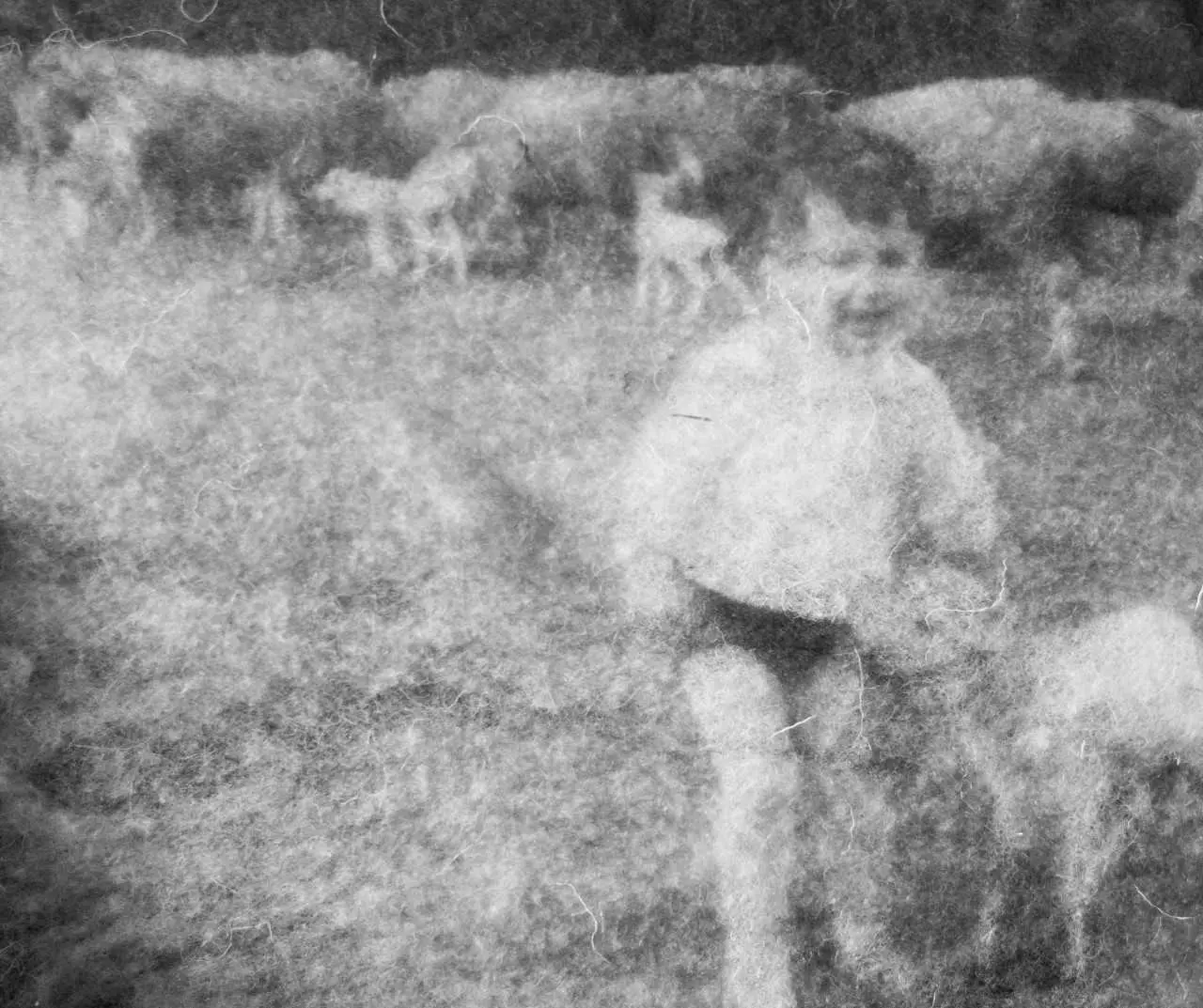 ROMAN PHOTO LILIE PINOT