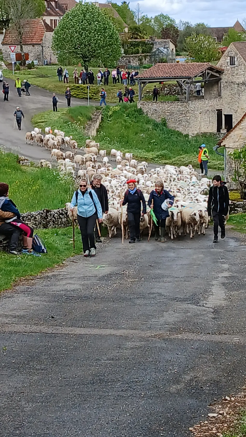 04 - 14 & 15 avril - Transhumance à Séniergues