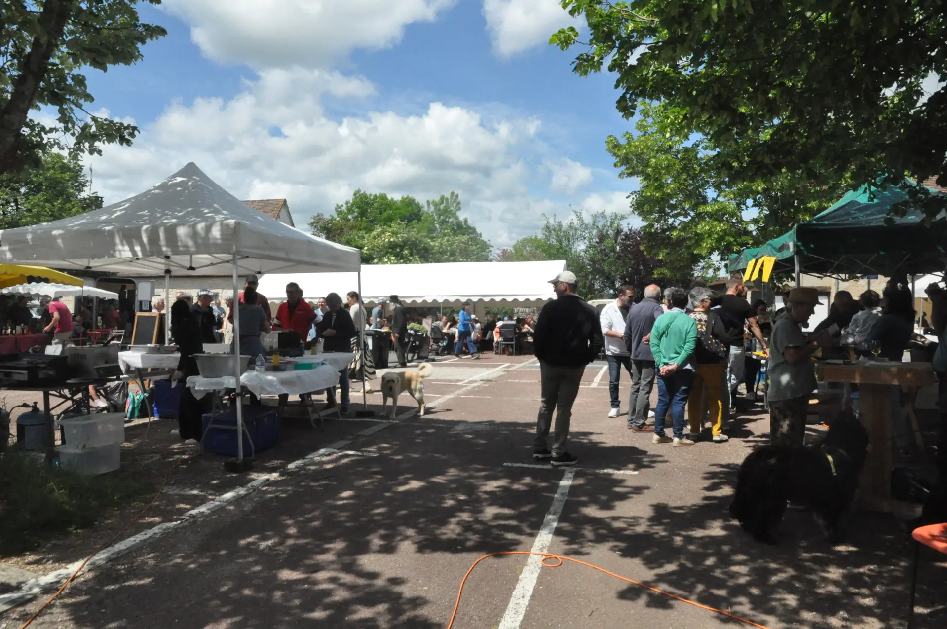 05 - 9 mai - Foire aux plantes et aux fleurs Montfaucon - photo (3)