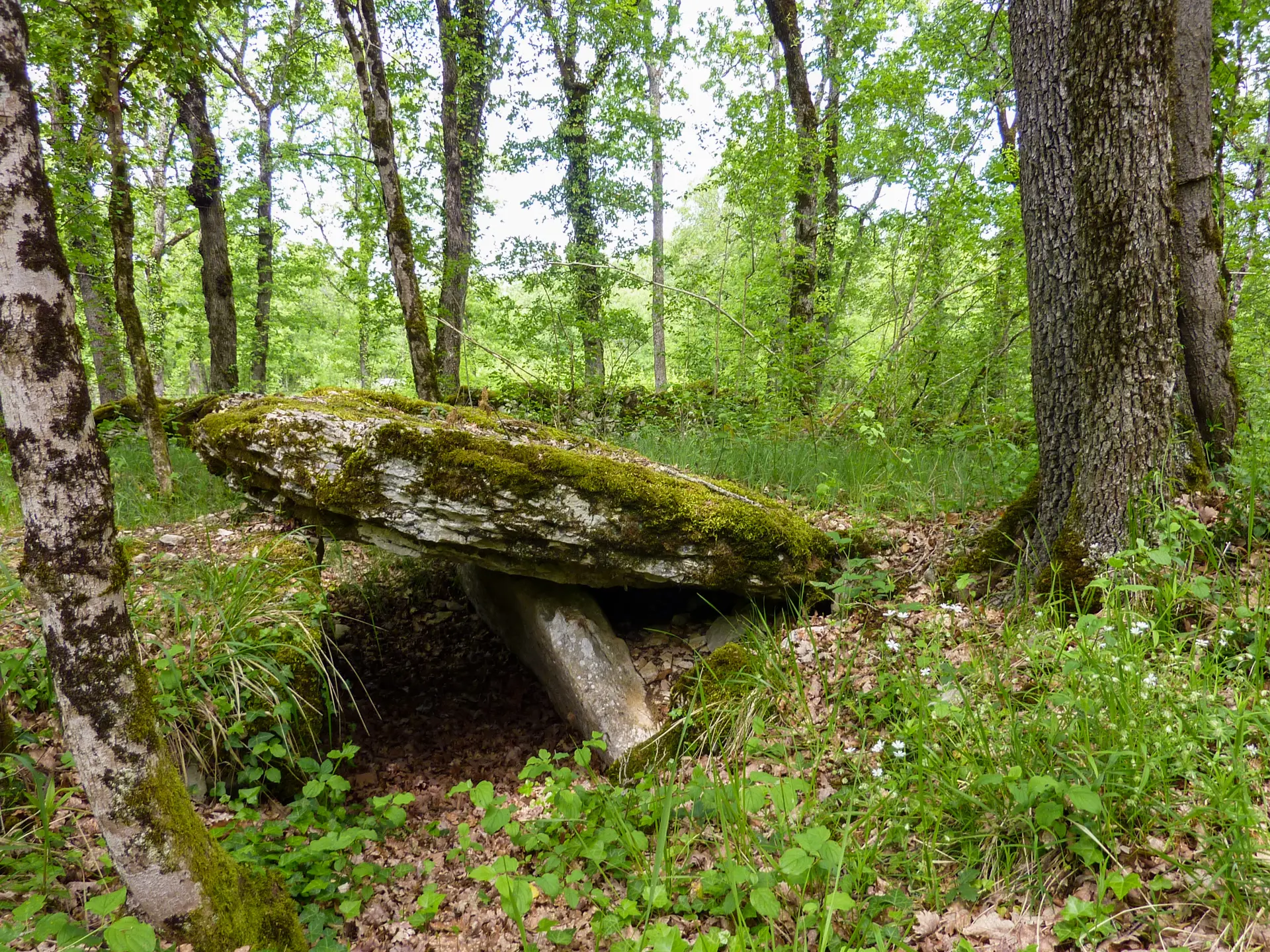 05Dolmen du Bois de Beauregard  © Lot Tourisme - C. Sanchez