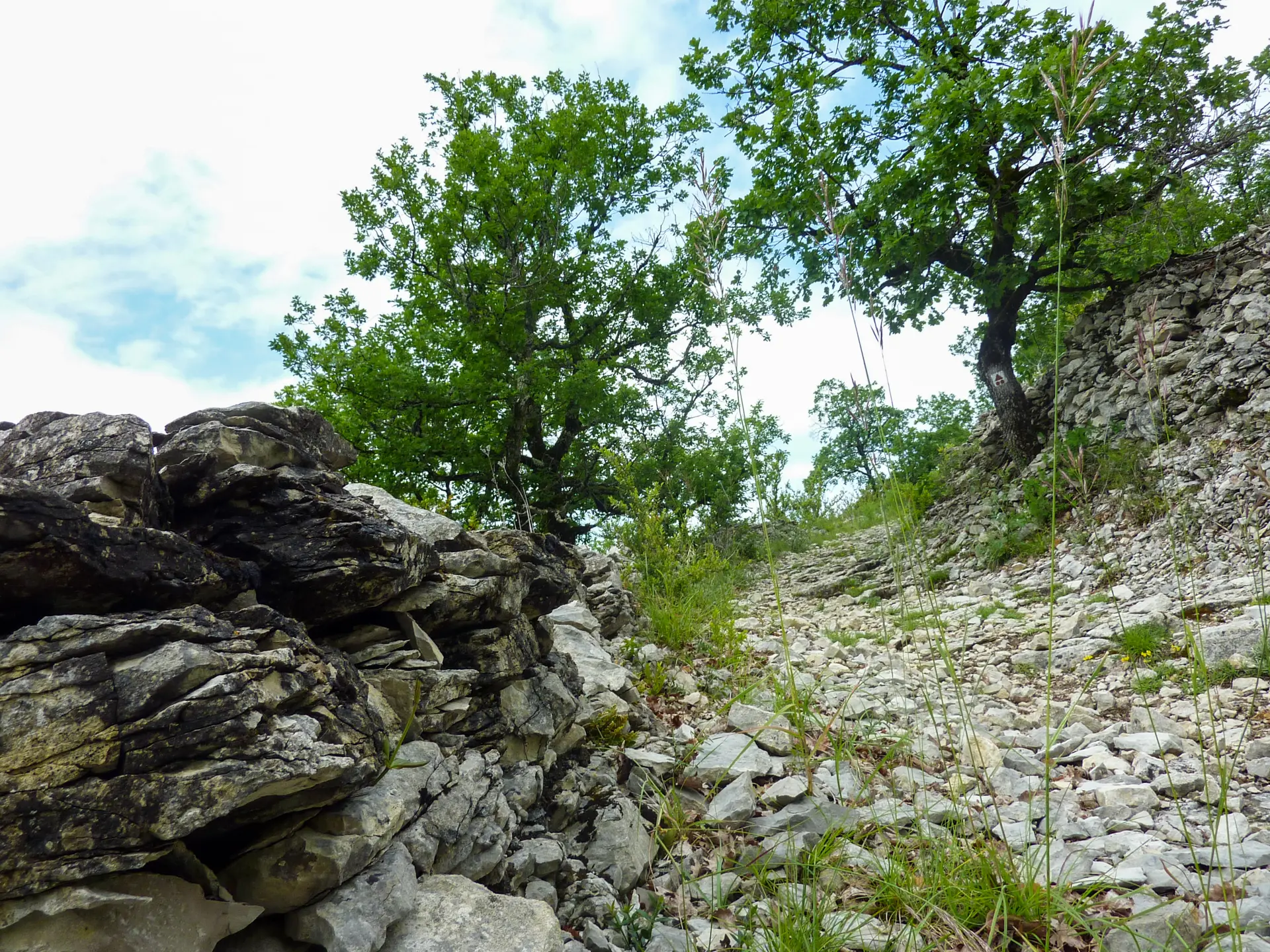 13St Martin de Cours - Montée sur le Pech © Lot Tourisme - C. Sanchez
