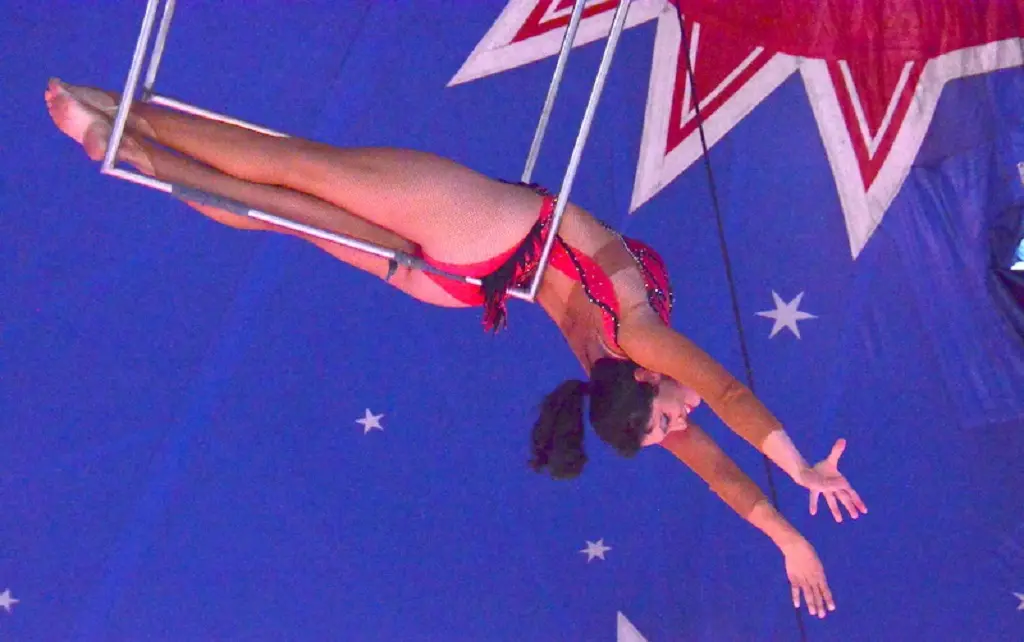 Cirque Zavatta à Figeac
