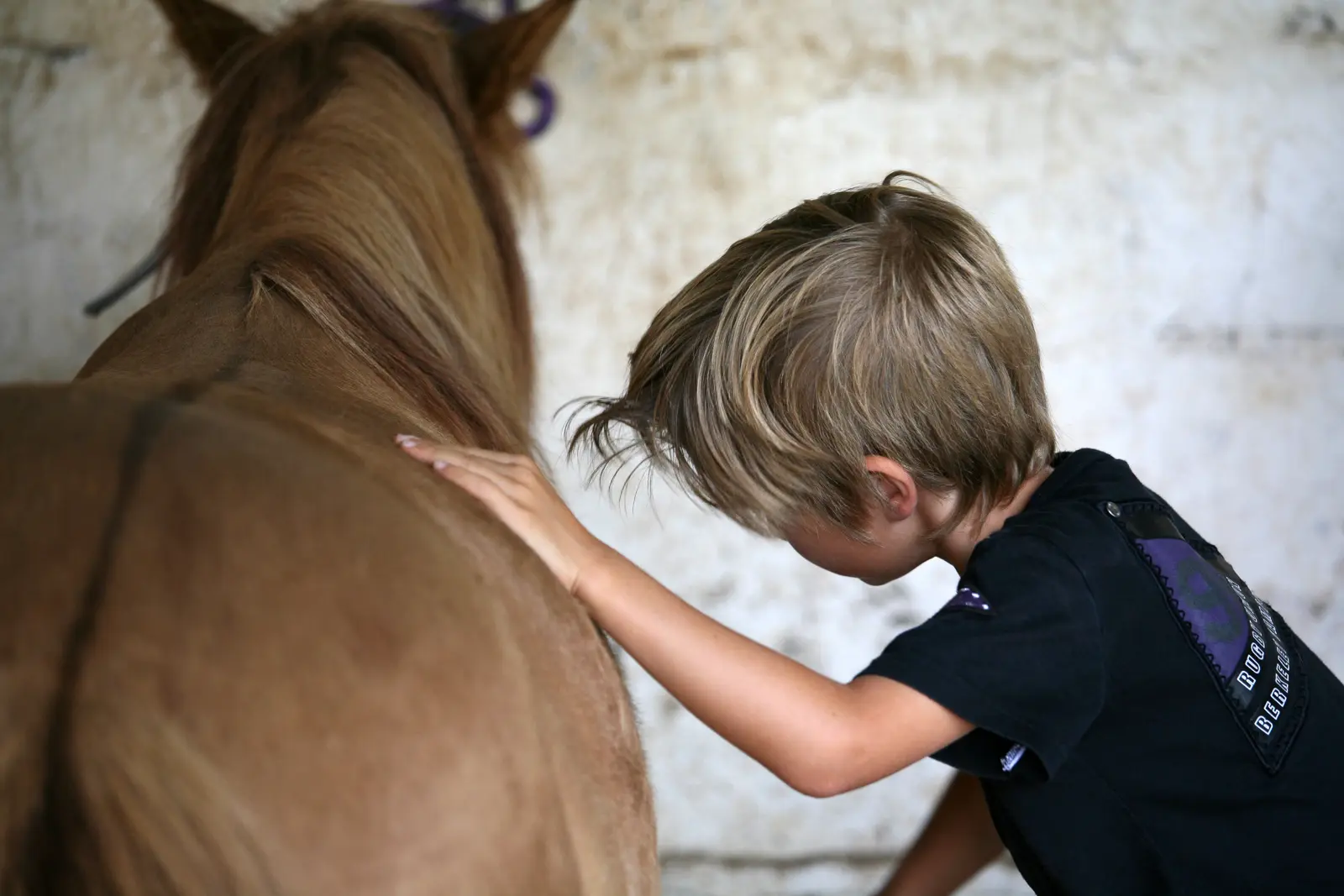 Equitation