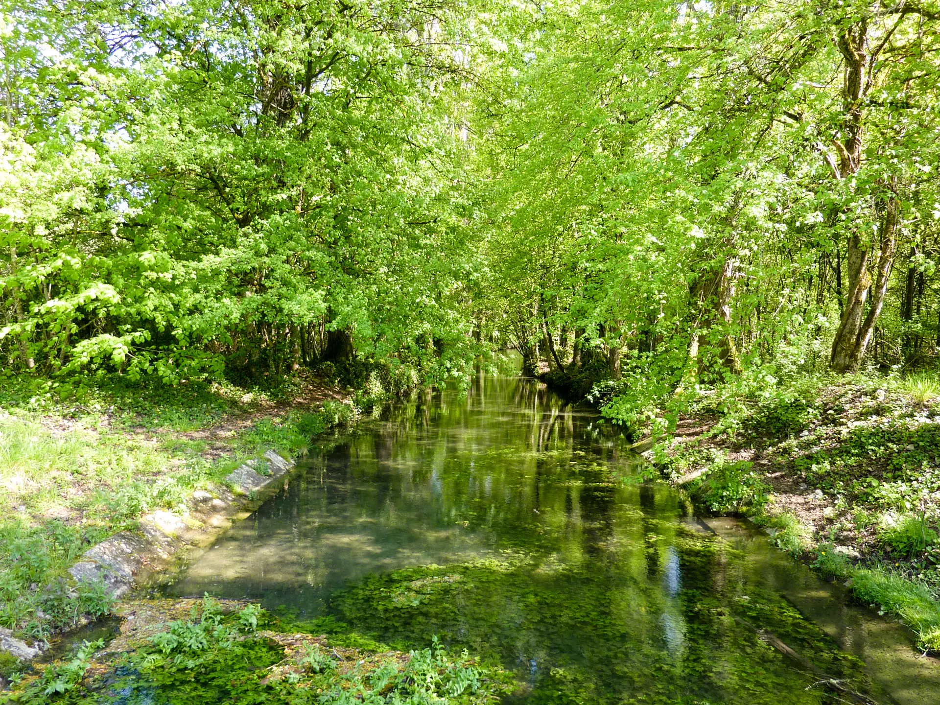 14Auricoste - ruisseau affluent de la Masse © Lot Tourisme - C. Sanchez