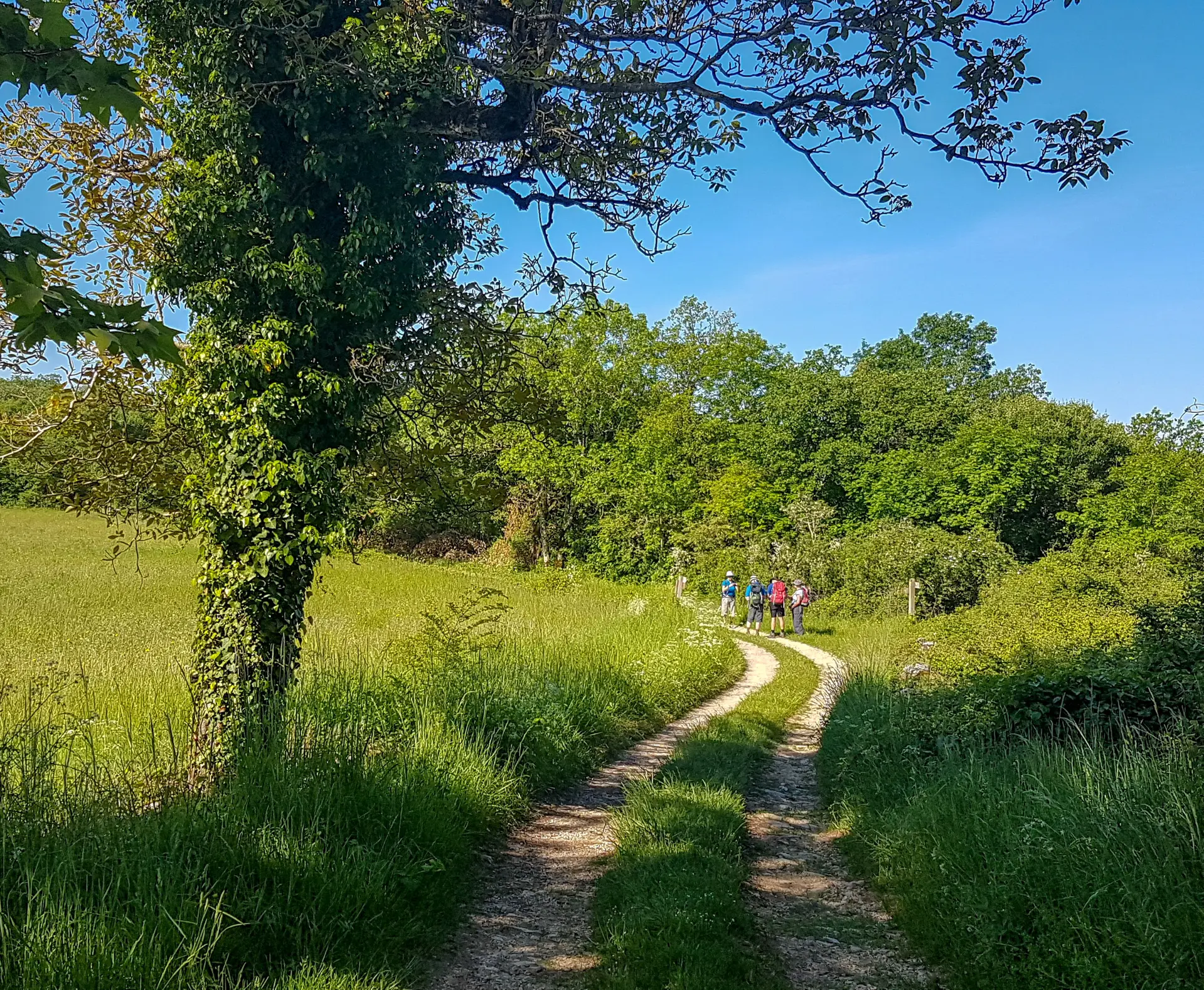 Rando sur le circuit du Rebord du Causse aux Falaises