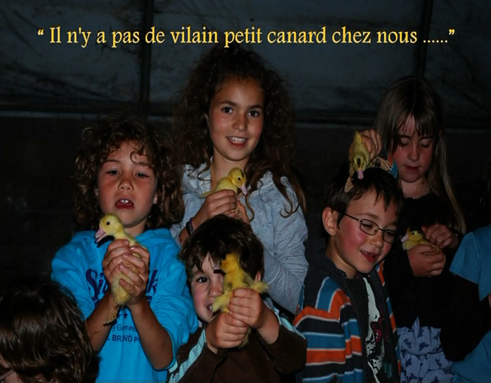 190215FermeDesCazalous_Puyjourdes1