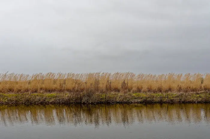 1cc635_4d361b38ec7246db877318fae4a59c19~mv2