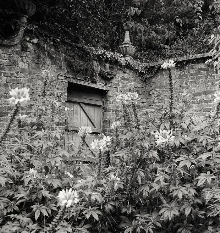 1cc635_b21aa4f9eb284a02b8c625dee08c03dc~mv2