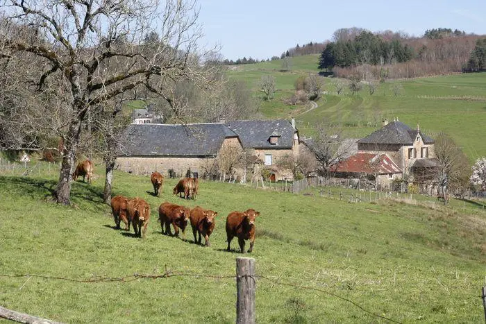 Patrimoine agricole