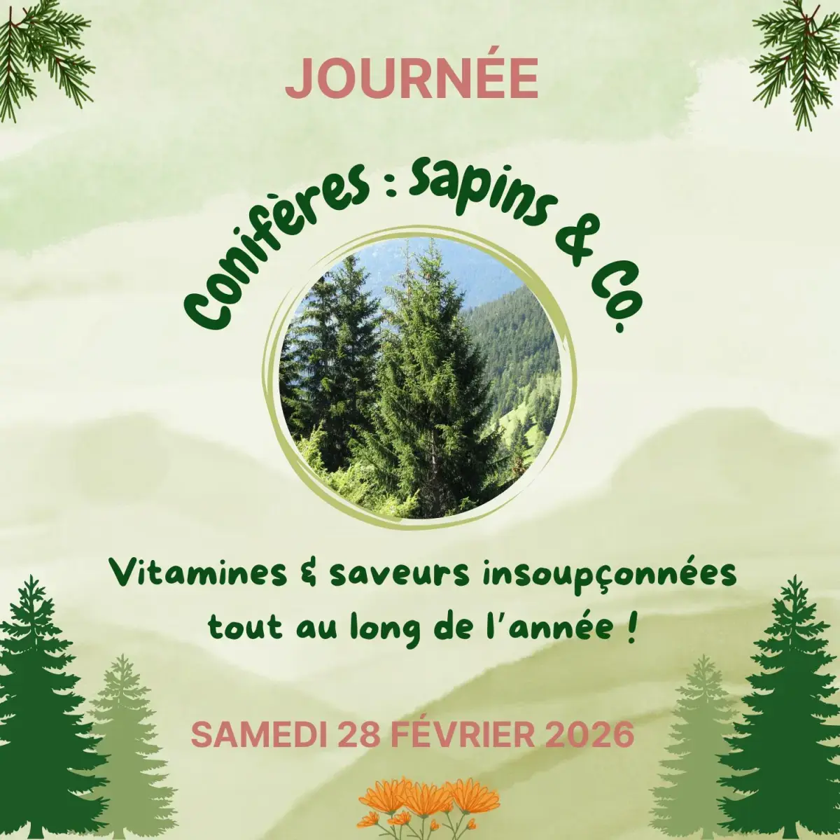 2-JOURNEE_CONIFERES