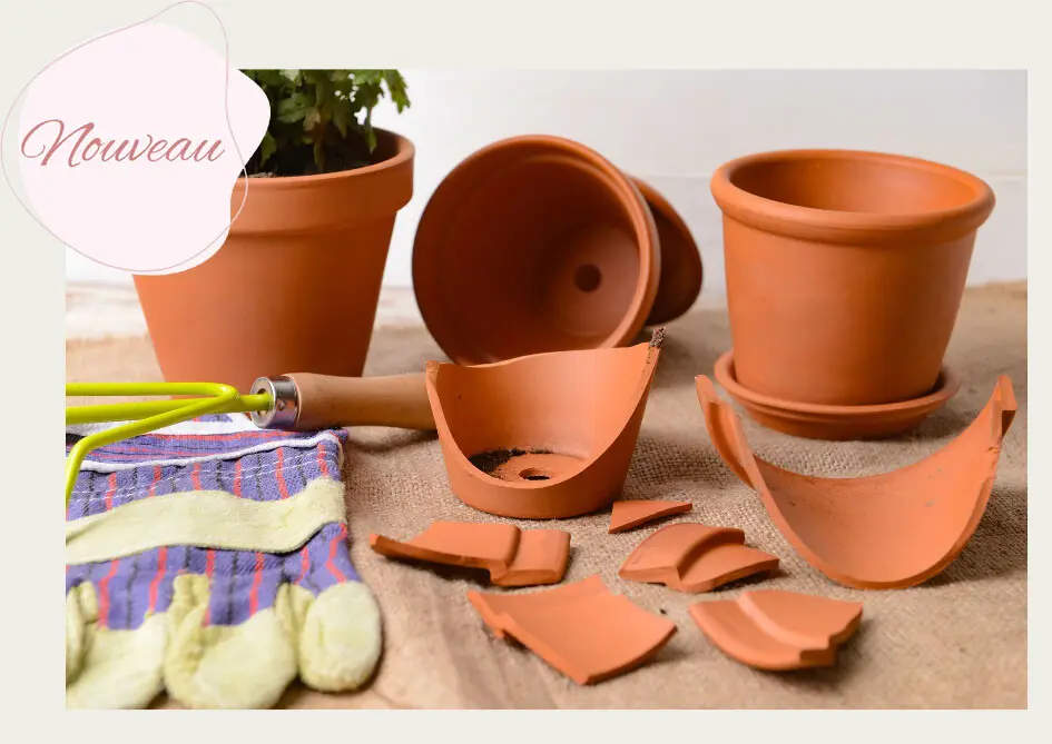 2024_05_31__Pot_casse_copie