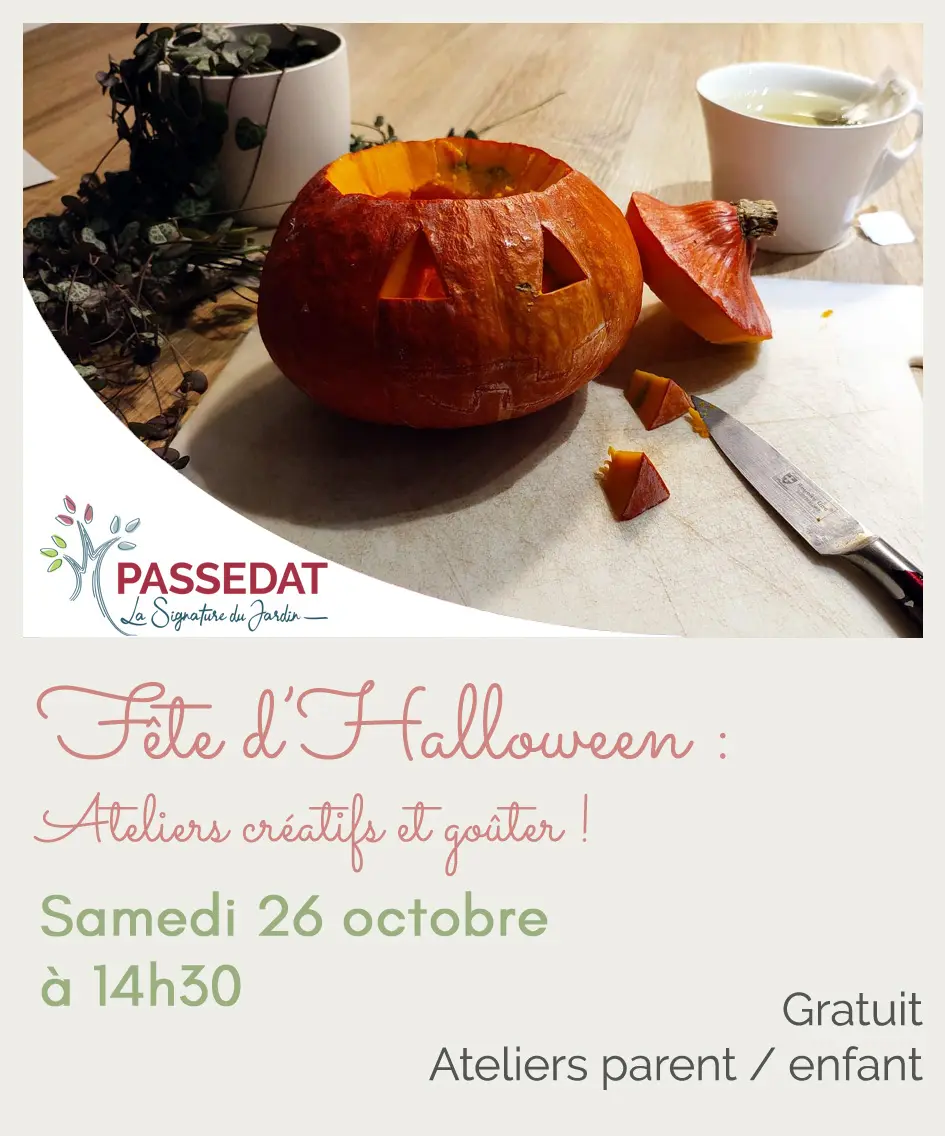 2024 10 26_Halloween copie