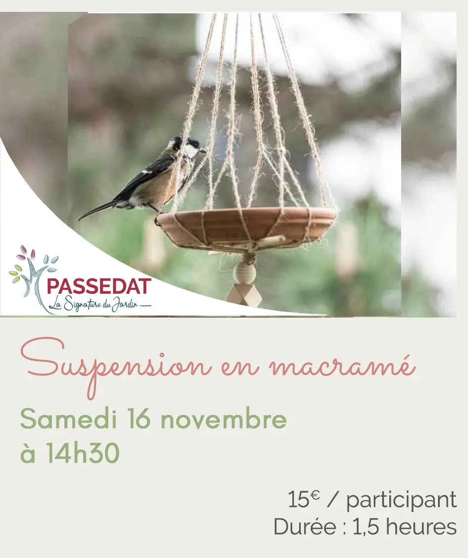 2024 11 16_macramé mangeoire copie