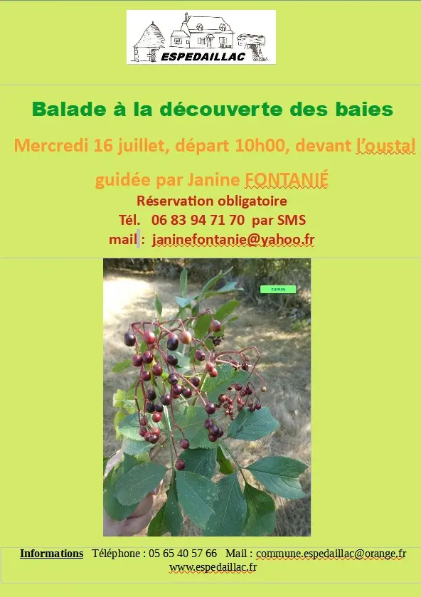 2025 07 16 Espédaillac balade baies
