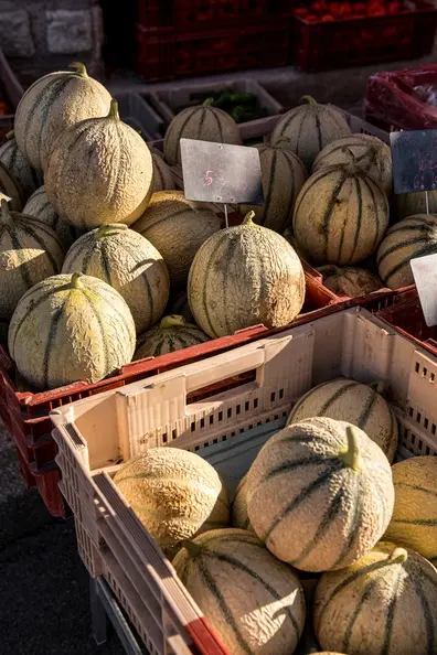 20250123165431-30372dea-me