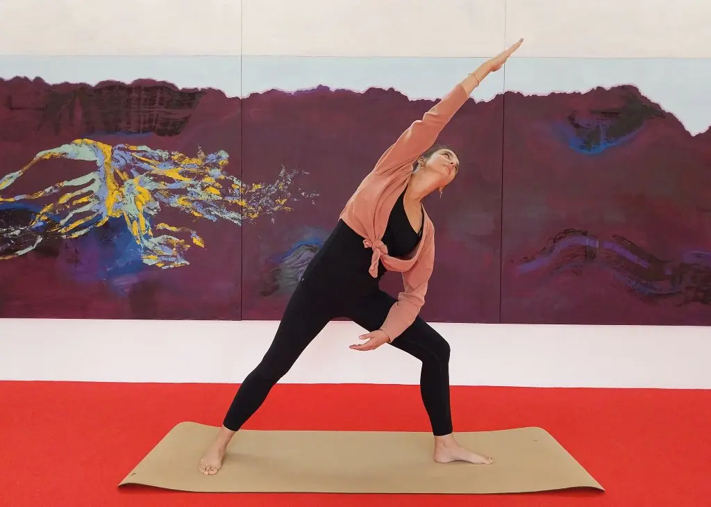 yoga à la maison des arts