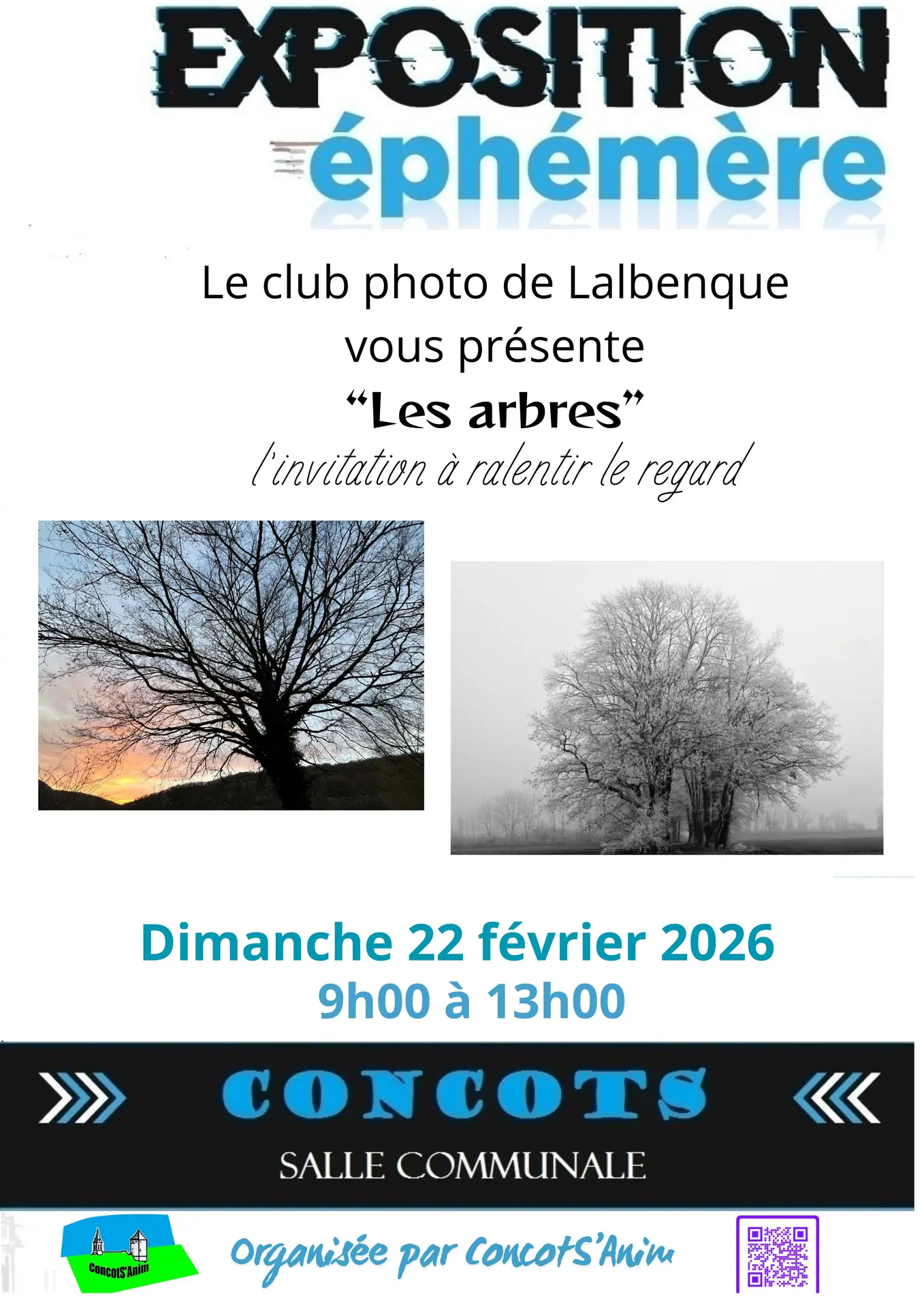 Le club photo de Lalbenque vous présente “Les arbres” l’invitation à ralentir le regard - 1