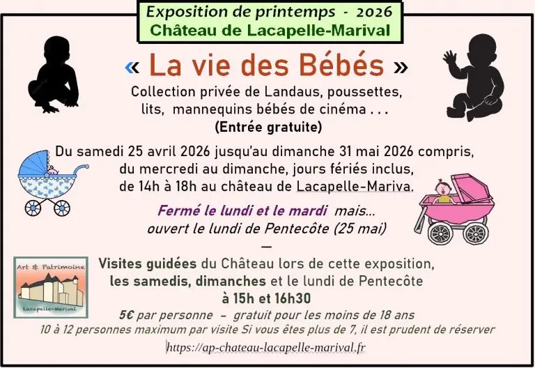 2026_La_vie_des_bebes-768x528 (1)