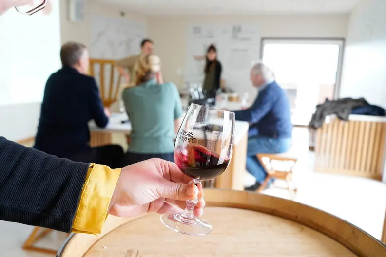 Dégustation de vin à Vinoltis