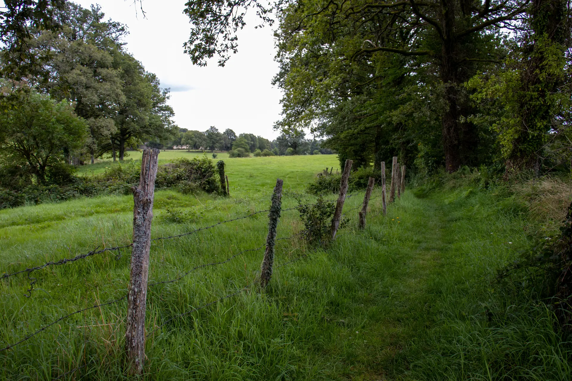 Paysages du Ségala - Circuit du Roc de France à Latronquière