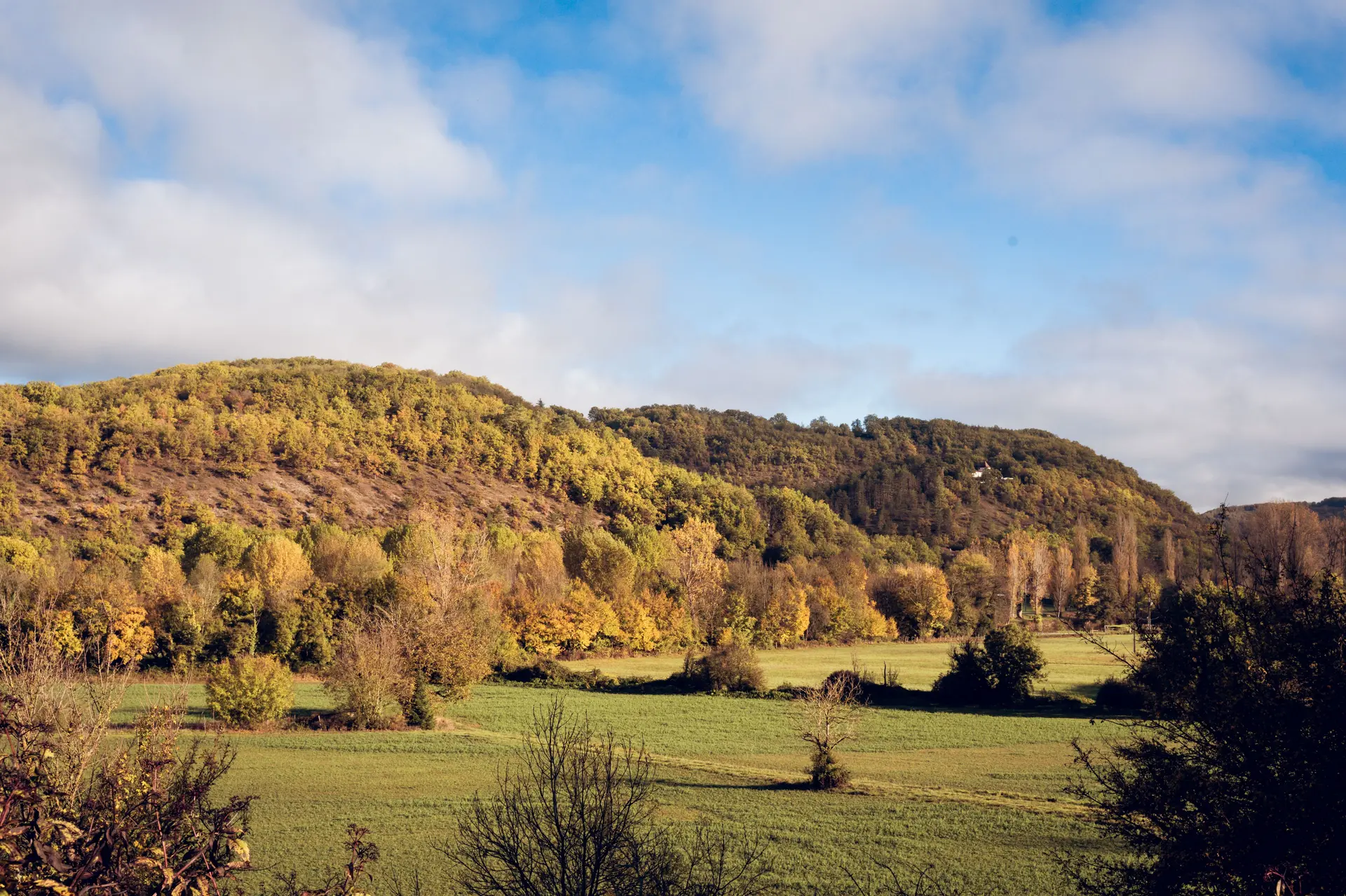 Balade dans les bois en automne