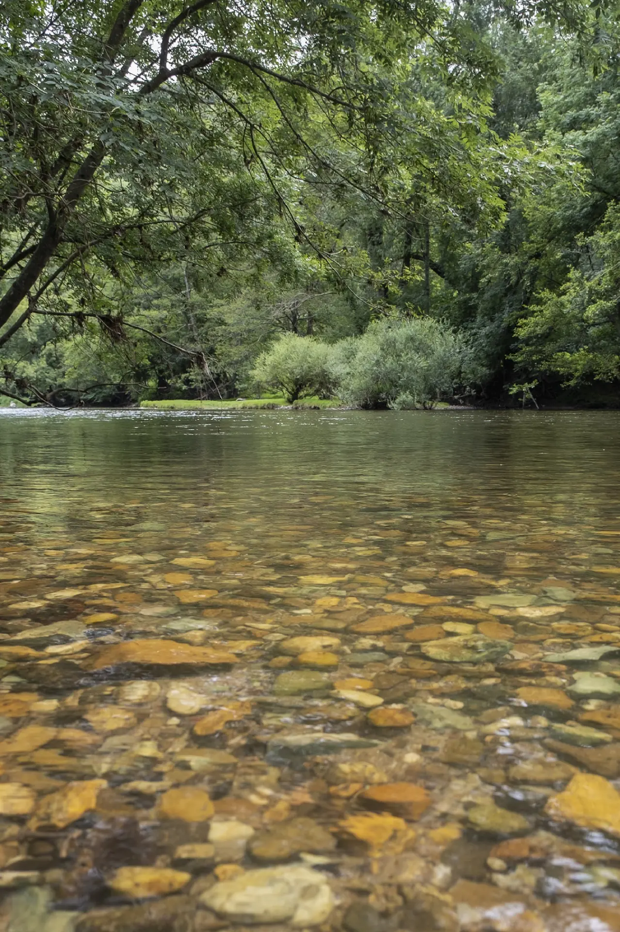 Canoë dans la vallée du Célé