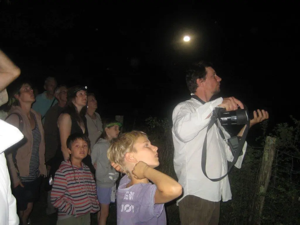 25_08_2022-nuit_chauve-souris-rnr_marais_Bonnefont