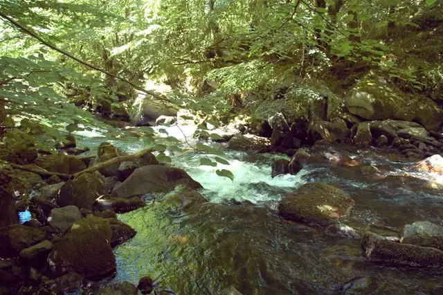 27 avril - Gorges du Tolerme