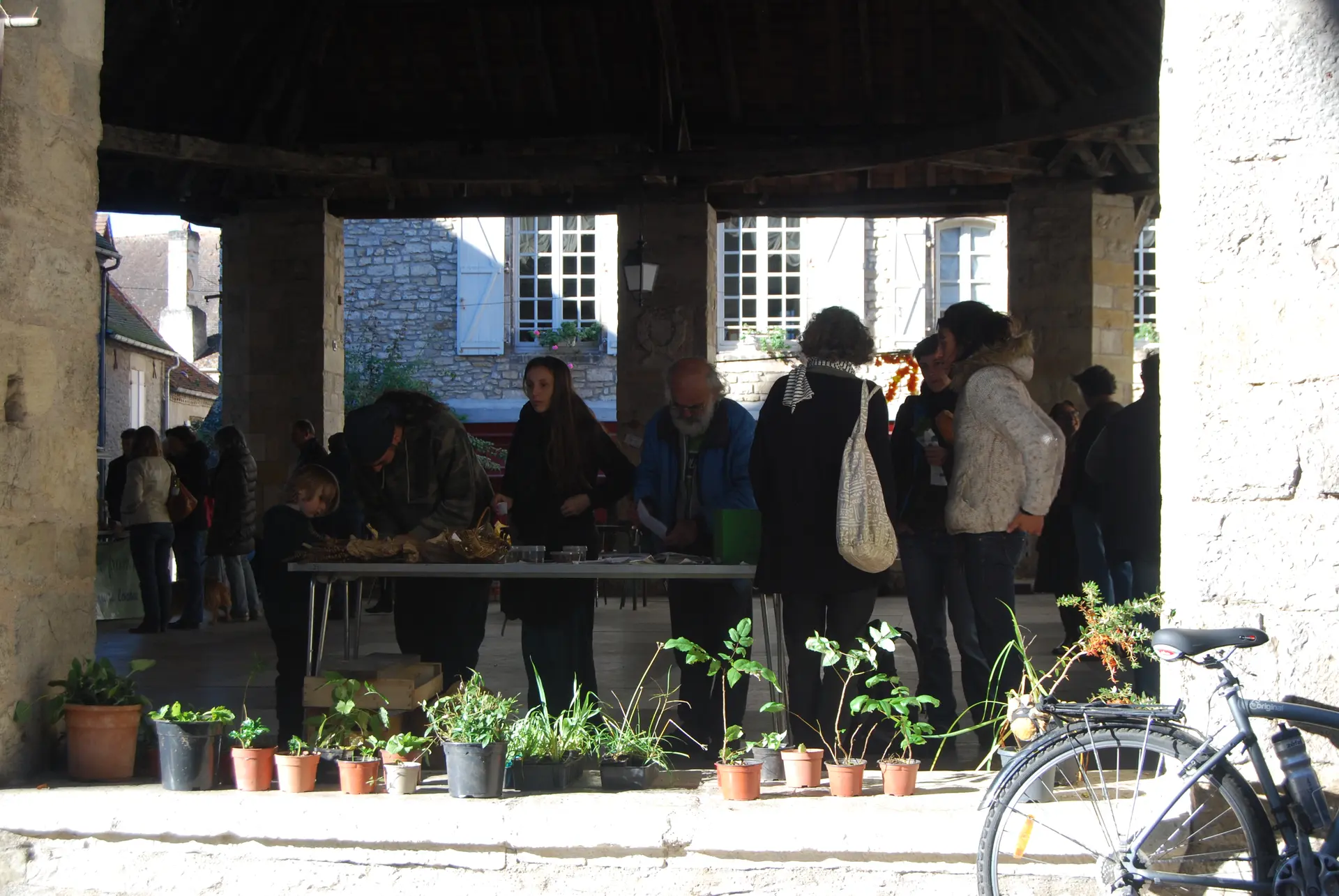 271024-balade botanique troc plantes-christine gauchet