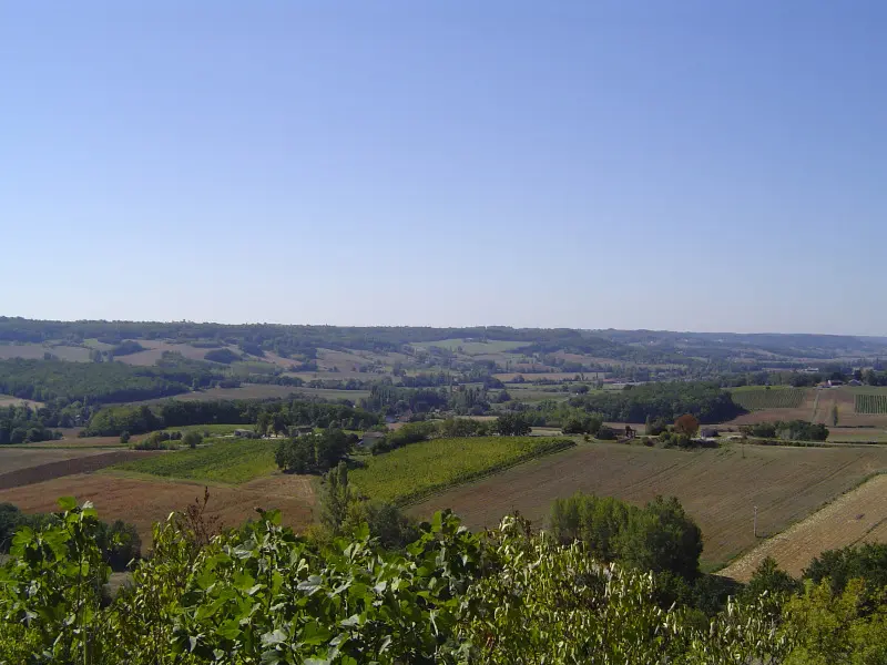 Saux - Vue sur le Vignoble de Cahors