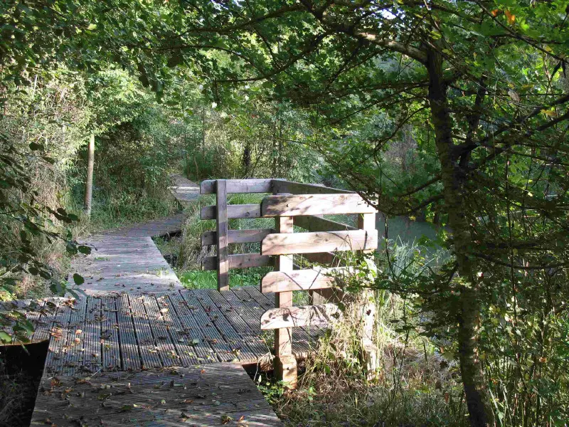 Sentier Sous les Bois