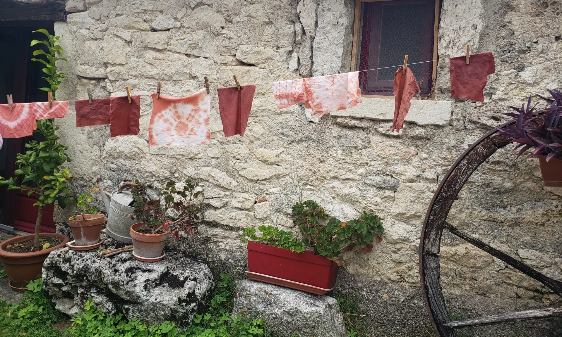 teinture vegetale garance
