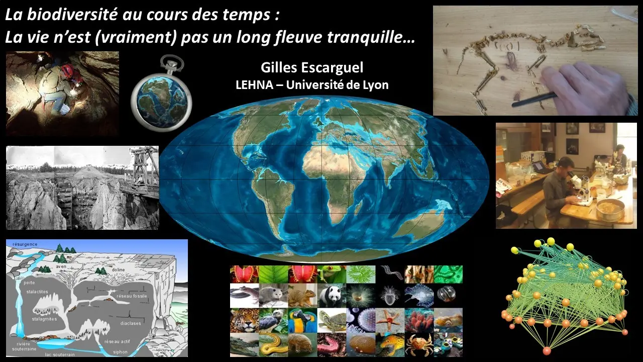 thumbnail_Diapo présentation conférence Escarguel