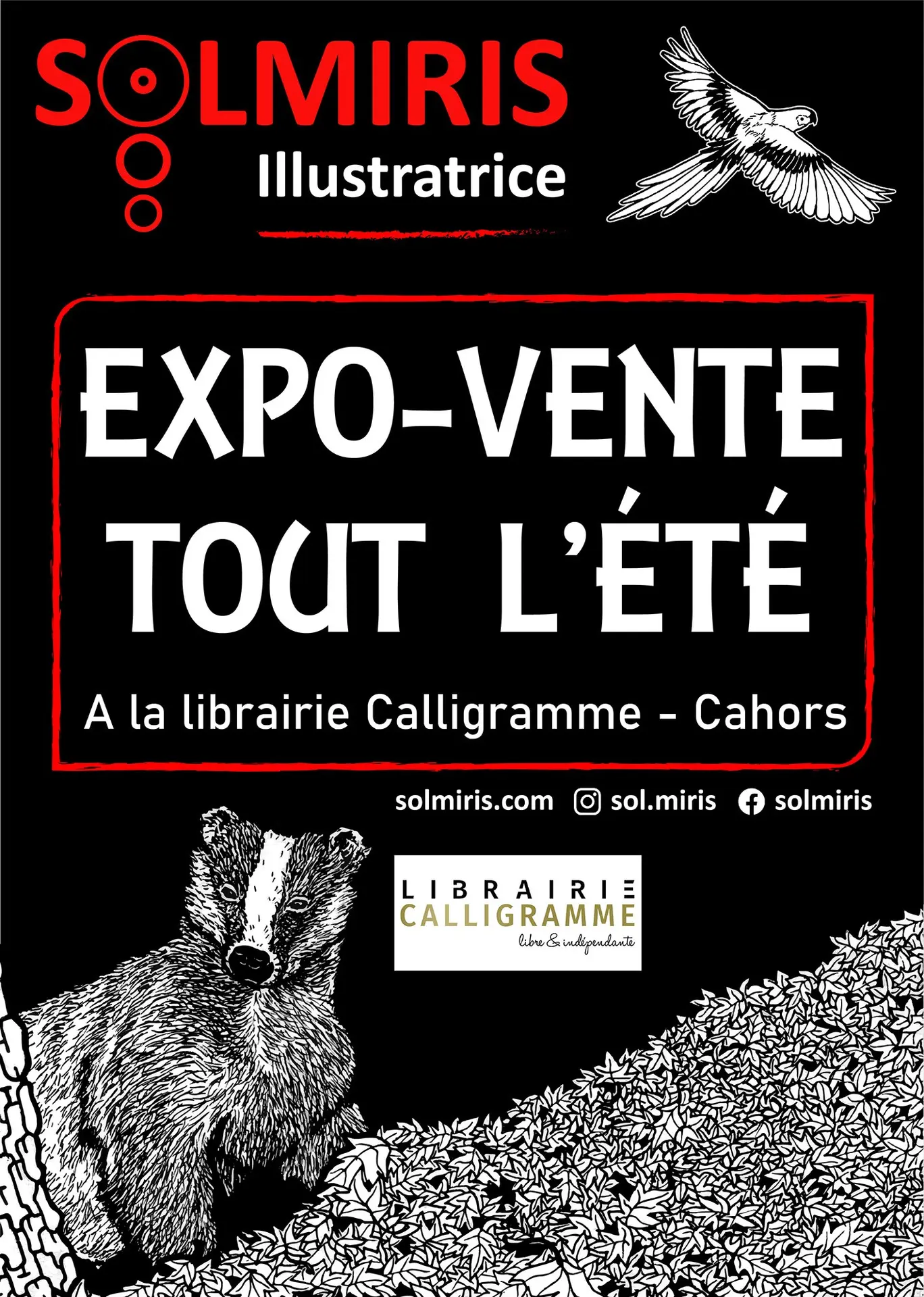 thumbnail_Expo-vente Librairie Calligramme - Solmiris