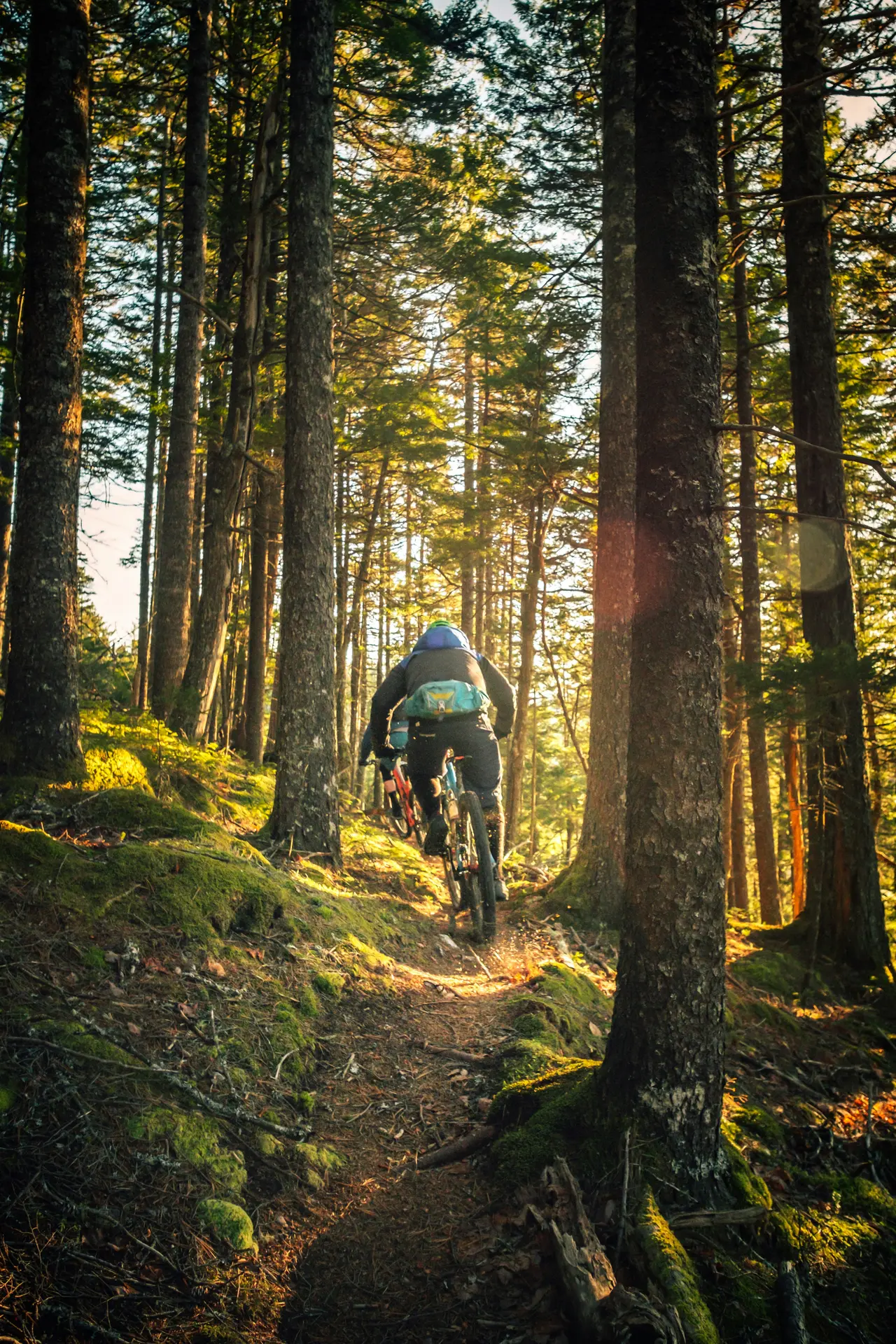 VTT