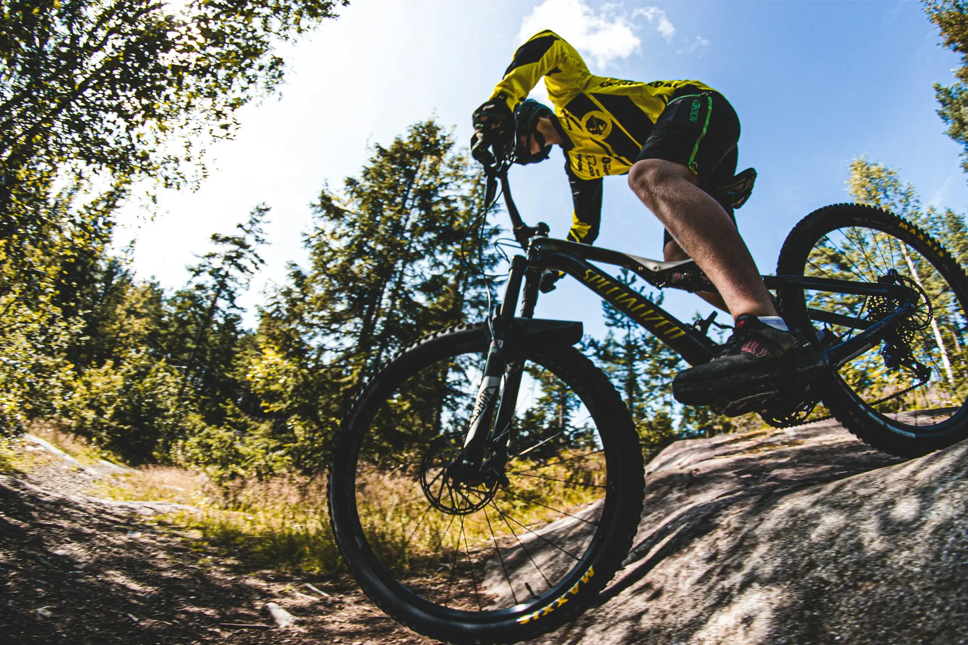 VTT