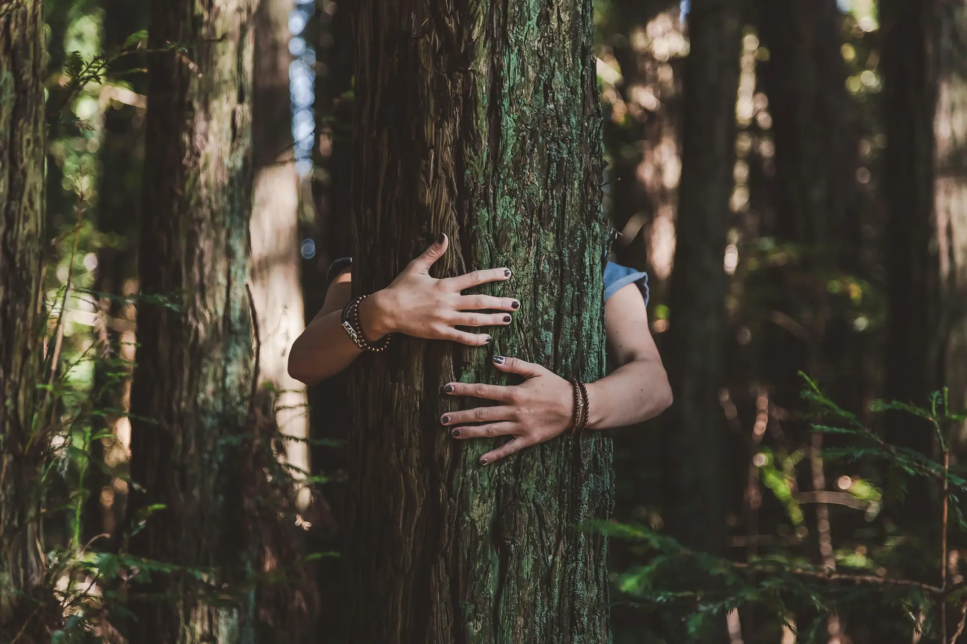 trent-haaland-yIsjn-IGWqc-unsplash