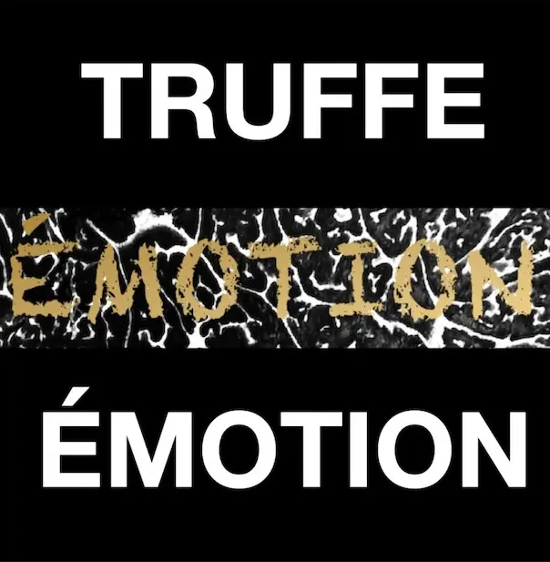 TRUFFE ÉMOTION (Publication Instagram (4:5)) - 1