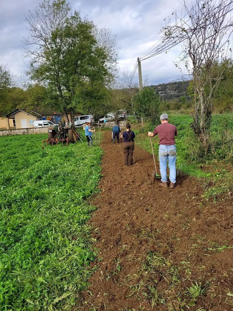 chantier participatif