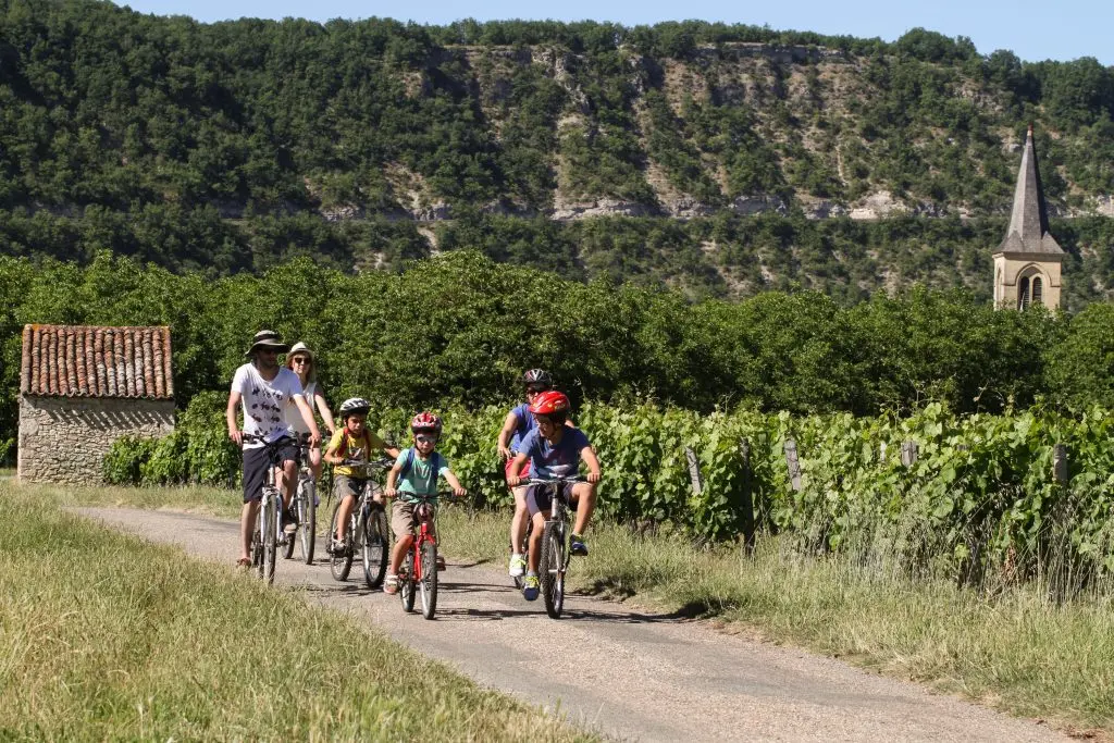 velo-dans-les-vignes-veloroute-p-foresti-mediart360-1024x683